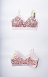 V-NECK LACE TRIM BRA 9042